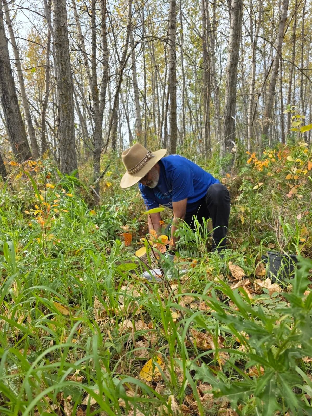 Ali planting a tree in the forest at Root for Trees event